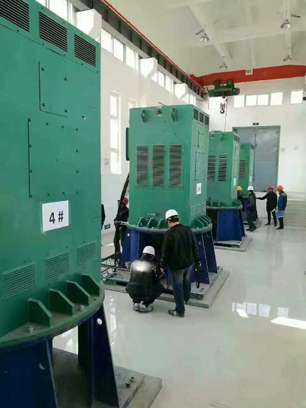 黄龙某污水处理厂使用我厂的立式高压电机安装现场